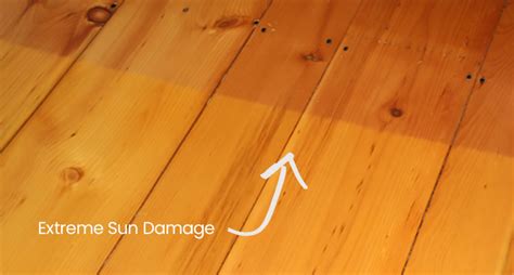 Sun Bleached Hardwood Floors Carpet Vidalondon