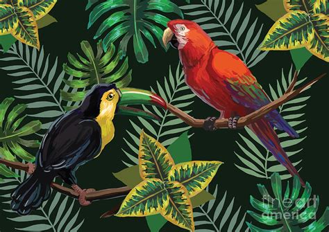 Vector Painting With Tropical Birds Digital Art By Julial Pixels
