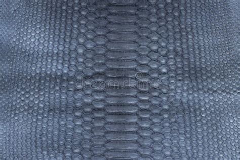 325 Genuine Python Snakeskin Leather Snake Skin Texture Background