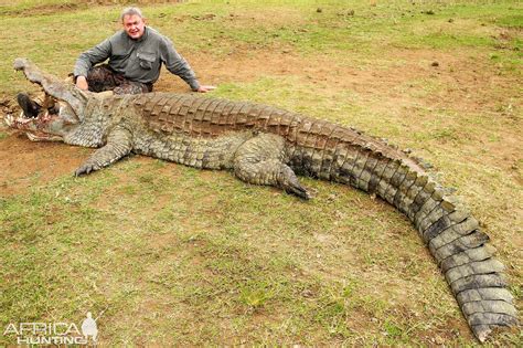 14 Foot Crocodile Hunt