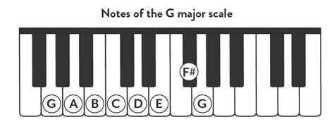 Learn All About The G Major Piano Scale Hoffman Academy Blog