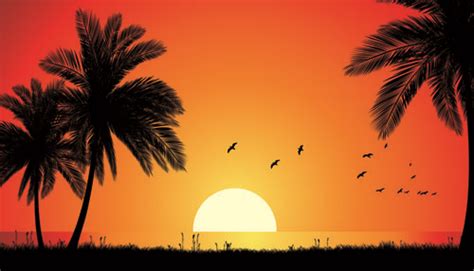 Sunset Landscapes Beautiful Vector Background Vectors Graphic Art