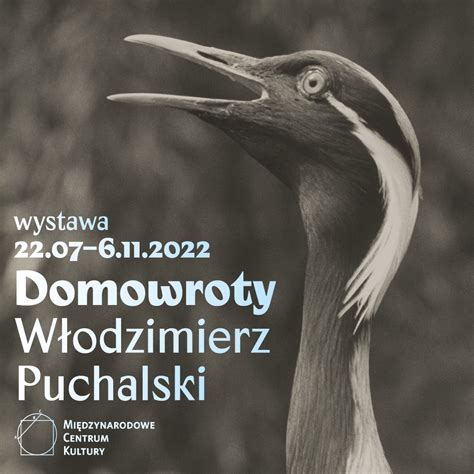 Homing W Odzimierz Puchalski Exhibition At The International