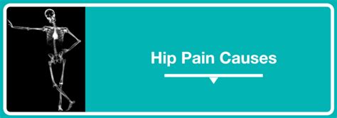 Hip Pain Causes And Treatment Geelong Osteopaths