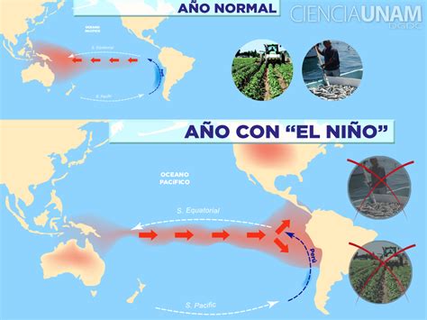 Fenómeno El Niño 2023 ¿cómo Podría Afectar Al Clima Tras Entrar A México Mapa Terra México