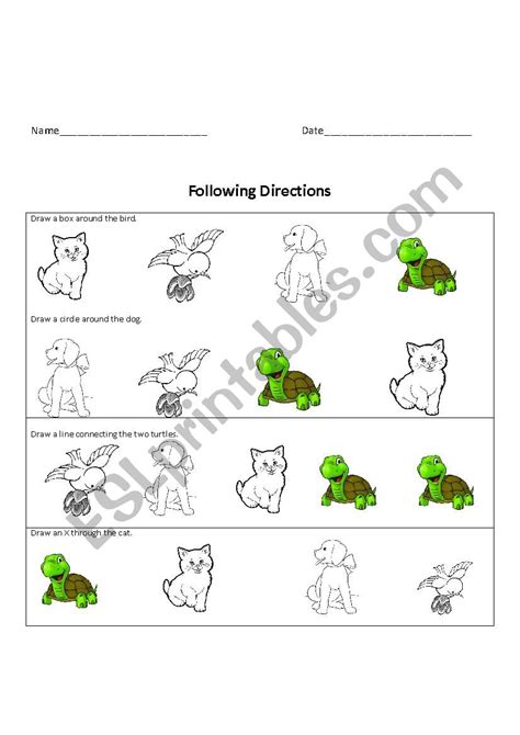 Following Directions Esl Worksheet By Durhamdeaf