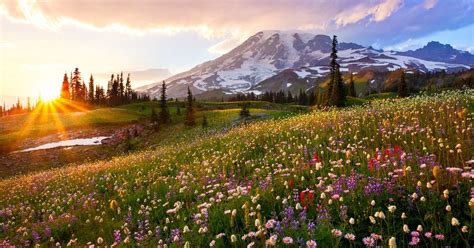 Mount Rainier National Park Over 230000 Acres Of Natural Beauty