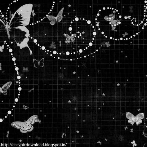 Black White Butterfly Wallpaper Easy Pic Download