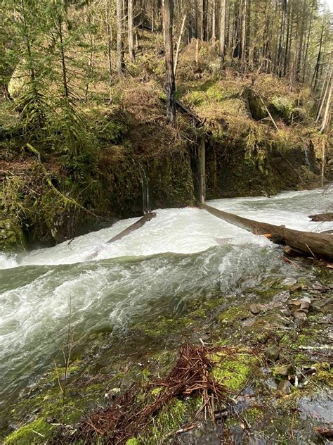 Photos Of Eagle Creek To Punchbowl Falls Closed Oregon Alltrails