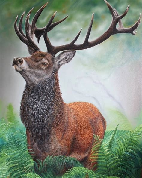 Majestic By Daniela Garau In 2021 Deer Painting