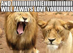 Love makes every story more interesting and every joke funnier. 29 Very Funny Lion Memes Images, Jokes, Gifs & Pictures ...