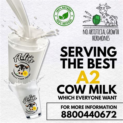 Benefits Of A2 Milk In 2021 Milk Cow Dairy Farmer Animal Agriculture