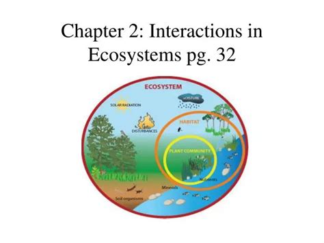 Ppt Chapter 2 Interactions In Ecosystems Pg 32 Powerpoint