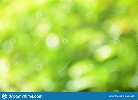 Spring Bokeh Nature Abstract Background Green Leaves Blurred Stock
