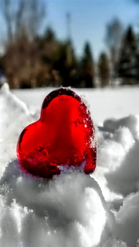 Red Heart In The Snow Valentines Wallpaper Heart Wallpaper Heart