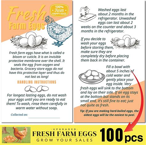Amazon Com Havongki 100pcs Premium Fresh Farm Eggs Handling Care