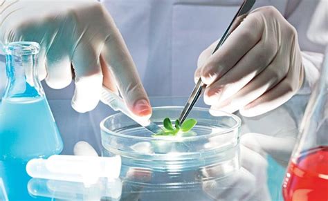 Inscri Es Abertas Para Mestrado E Doutorado Em Biotecnologia Ufes