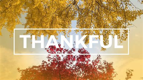 Being Thankful | Northstar Church