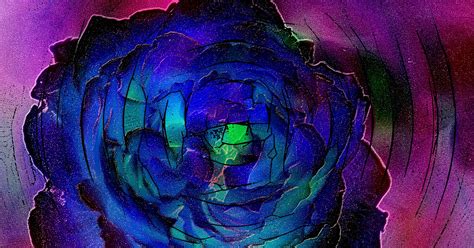 Dark Blue Psychedelic Rose Free Stock Photo Public Domain Pictures