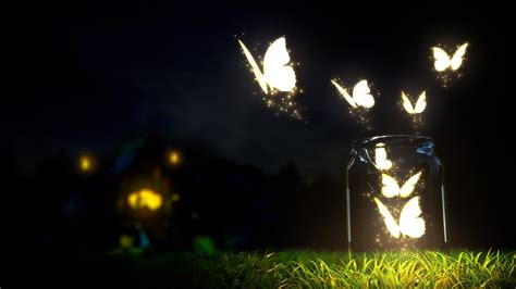 Wallpaper Sunlight Lights Fantasy Art Night Grass Butterfly