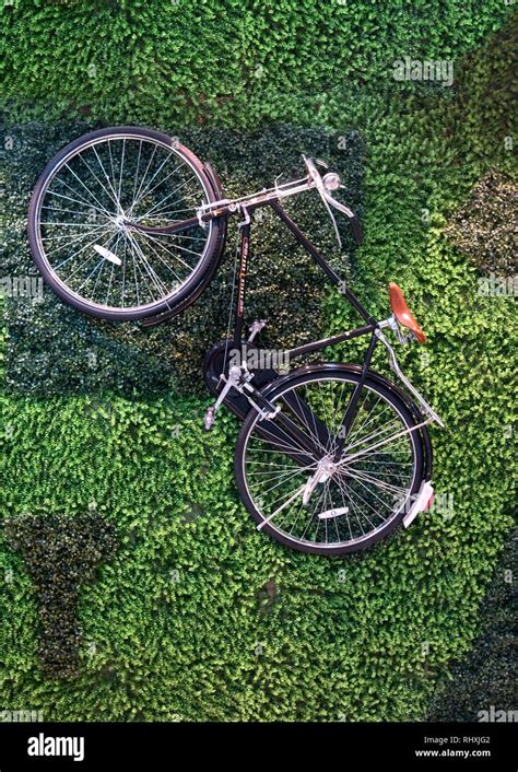 Bike On Grass Stock Photo Alamy