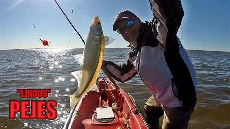 Linda Pesca Con Boya Roja De Pejerreyes En La Albufera De En Mar