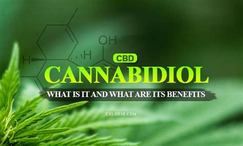 What Is Cannabidiol Cbd And What Are Its Significant
