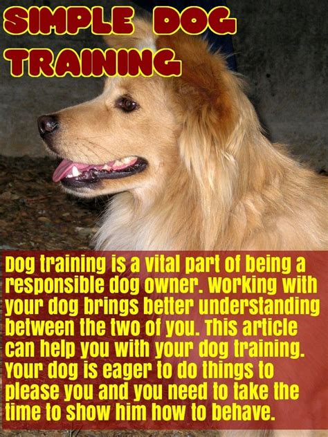 Excellent Article With Many Great Tips About Pups Learn More By