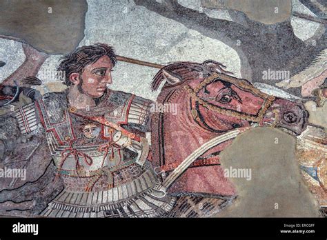 Mosaic Of Alexander At Issus Stock Photo Alamy