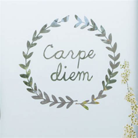 Carpe Diem Sff Solar Film Foundation