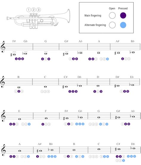 Qmg Trumpet Fingering Chart With Color Coded Notes Learn Trumpet