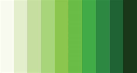 Significado da cor verde descubra quais vibrações ela traz