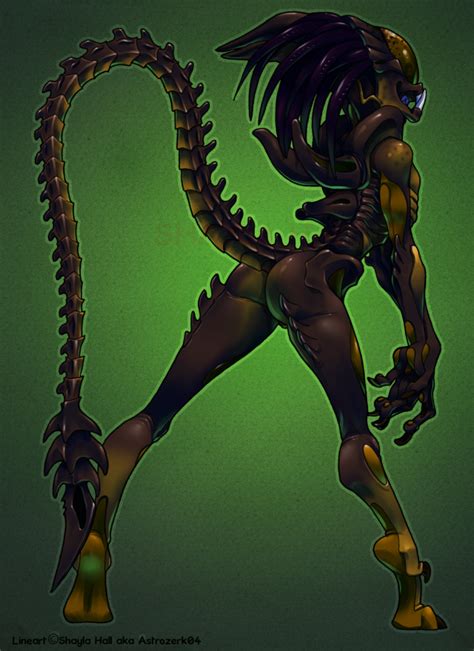 Aliens Vs Predator Astrozerk Draekokun Predalien Xenomorph Alien My Monster Girls