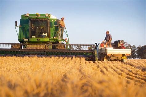 Operation Grain Harvest Assist Calls For Worker Reinforcements Grain