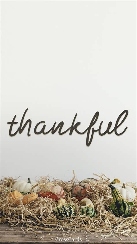 Thankful Wallpapers Top Free Thankful Backgrounds