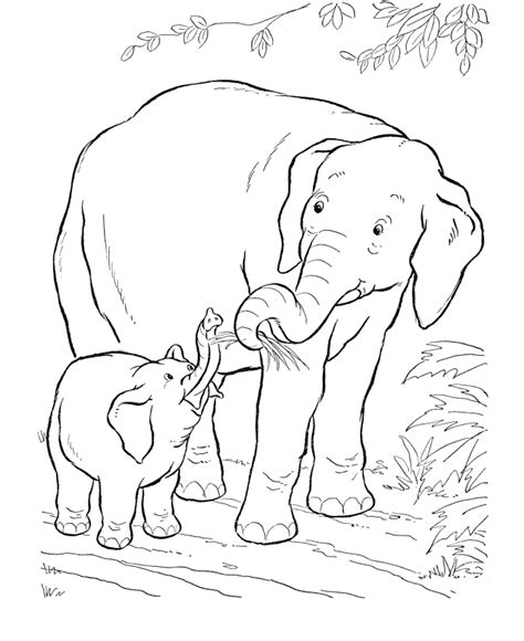 Indian Elephant Colouring Pages Coloring Pages For Kids