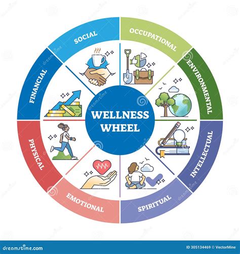 Wellness Wheel With Personal Divisions With Areas Of Life Outline