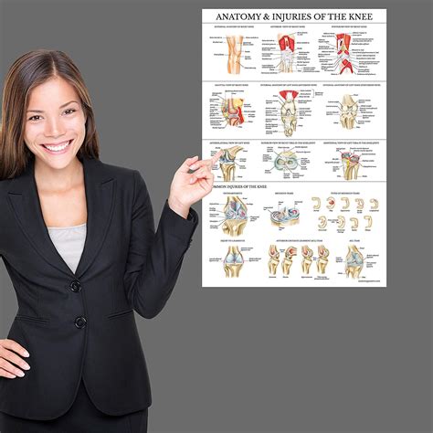 Knee Joint Anatomical Chart Laminated Palace Learning