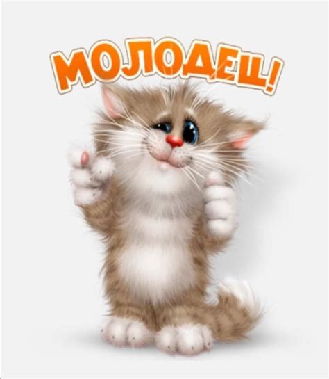 👌😽🌿🐾😺🐾🌿😸👍 Смешные открытки Веселые картинки Милые котики