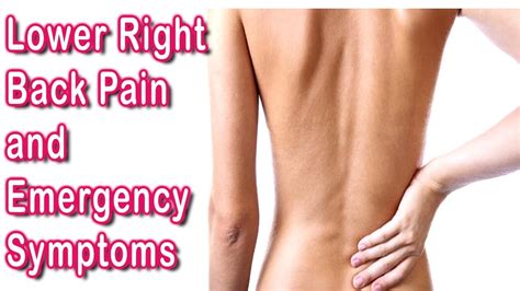 Urinary track infection refer pain to the low back but the. Lower Right Back Pain - Lower Right Back Pain and ...