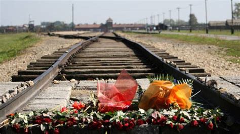 Viene ricordato il 27 gennaio 1945 quando le truppe sovietiche dell'armata rossa arrivarono al campo di concentramento di auschwitz. Giornata della Memoria, in Bergamasca spettacoli, letture ...