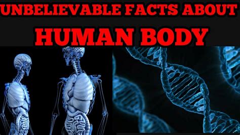 Unbelievable Facts About Human Body Facts In Minutes Fim13 Youtube