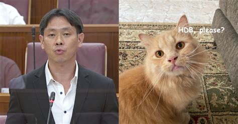 Louis ng kok kwang, the member of parliament (mp) for nee soon group representation constituency (grc) has affirmed his stance against the ban of housing and development board. Louis Ng: What's the point of having HDB cat ban if it's ...