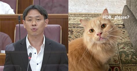 Louis ng/facebook nee soon's mp is being suspected of violating public assembly law by urging singaporeans to support vendors with a sign he held without obtaining government permission. Louis Ng: What's the point of having HDB cat ban if it's ...