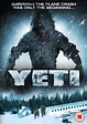Yeti (2008) — a review by C J Dee