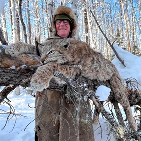Lynx Hunting In Russia With Profihunt Profihunt Profihunt
