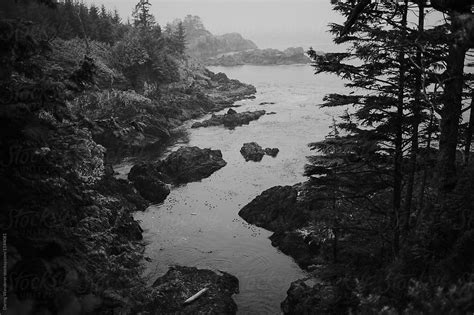 Moody And Rainy Coastal Views From The Wild Pacific Trail In Ucluelet