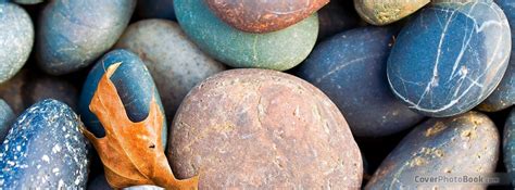 Flowers from the ancient water meadows at thyme have been exquisitely pressed and mounted by the jamjar team. Colored Stones Facebook Cover - Nature