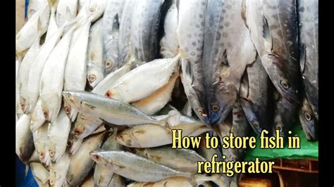 How To Store Fish In Refrigeratorhow To Store Fish In Freezerthe Best