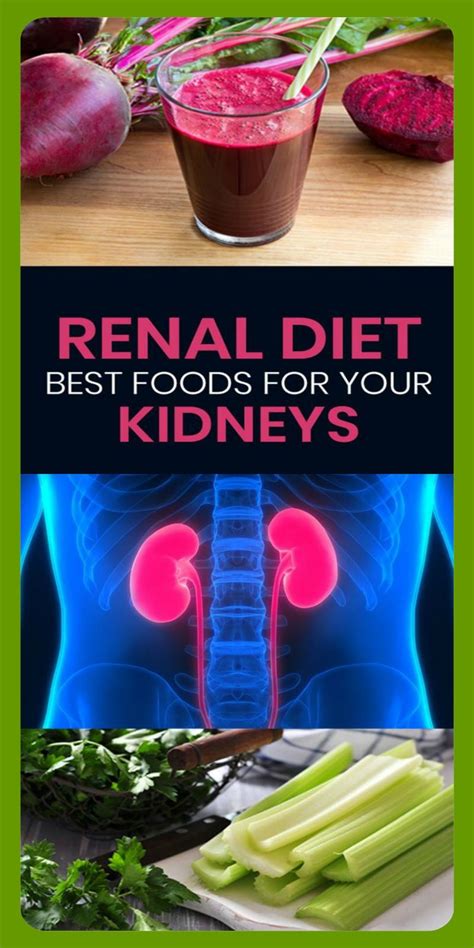 Mashed potatoes is definitely one of the dishes that people on renal diet tend to steer clear from. Renal Diet Foods List and Eating Plan for Kidney Disease | Renal diet recipes, Renal diet food ...